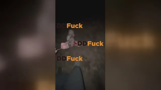 Xanny Bunny fucked in the forest in the trunk